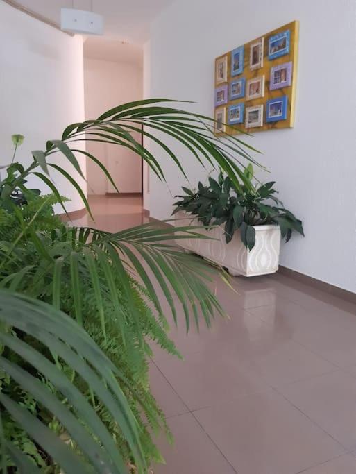 Apartamento Batalha - Quarteira, Algarve, Portugal Экстерьер фото